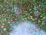 Load image into Gallery viewer, After the Rain - Waterlily Pond
