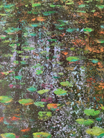 Load image into Gallery viewer, After the Rain - Waterlily Pond
