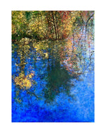 Load image into Gallery viewer, Garden at Dusk
